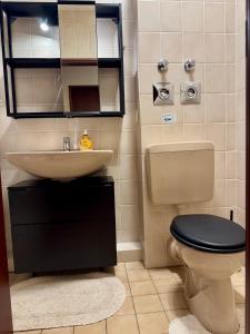a bathroom with a toilet and a sink at Harztastisch Ferienwohnung in Bad Sachsa +6 photos
