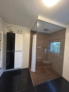 Koupelna v ubytování Villa Miševići + 16 fotografií