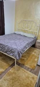 Cama en habitación con 2 alfombras en LCB Apartments GM01, en Târgu Mureș 6 fotos más
