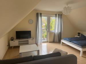 Μια τηλεόραση ή/και κέντρο ψυχαγωγίας στο Magdalena Apartments 1