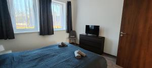 a bedroom with a bed and a tv and windows at Virág Vendégház Balatonszárszó in Balatonszárszó