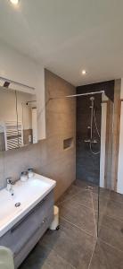 a bathroom with a sink and a glass shower at Ferienwohnung Pruggernglück in Pruggern