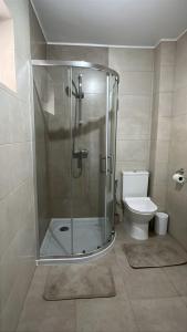 a shower stall in a bathroom with a toilet at Colt de Apuseni Guesthouse in Curăţele