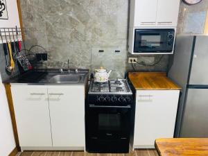 Una cocina o cocineta en Talca-Maule