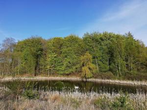 a body of water with trees in the background at 7 person holiday home in Knebel-By Traum in Knebel