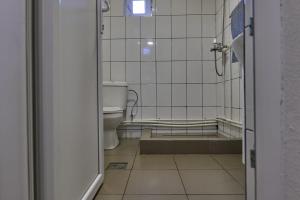 a bathroom with a toilet and a shower in it at Cabana Valea Lui Bogdan in Coada Izvorului