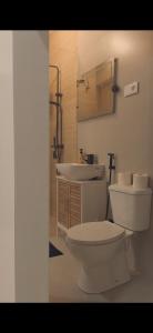 ミンデロにあるCastro APのトイレと洗面台のあるバスルーム