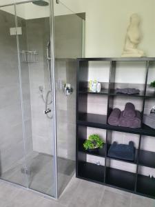 a bathroom with a shower and a glass shower stall at Casa Bianka in Fridolfing +36 photos