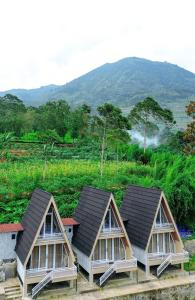 Kejajarにあるaf house villa and cabinの山を背景にした3軒の家