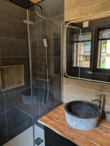 een badkamer met wastafel en douche bij Chalet La Tanière avec Sauna in Le Grand-Bornand +21 foto's