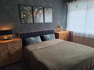 Galeriebild der Unterkunft Cozy Apartment in Altenbrak