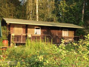 una piccola cabina in legno in mezzo a una foresta di Holiday Home Victoria a Svartbäck