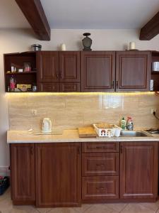 Una cocina con gabinetes de madera y un fregadero. en Domek myśliwski, 