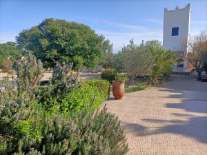 a garden with plants and a building in the background at Villa Dar Albatros Great for groups surf, yoga, friends and family in Sidi Kouaki