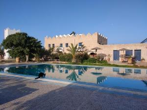 a cat sitting in a swimming pool in front of a building at Villa Dar Albatros Great for groups surf, yoga, friends and family in Sidi Kouaki