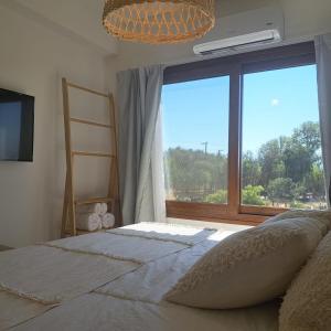 a bedroom with a bed and a large window at Apart entre viñas in Cafayate +8 photos