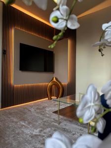 Televiisor ja/või meelelahutuskeskus majutusasutuses 3 KING Beds Free parking Stay close and stay cozy