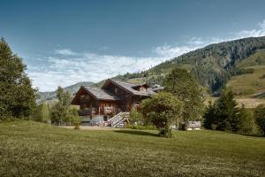 una grande casa in legno su una collina in un campo di Apartment Tilliach a Untertilliach