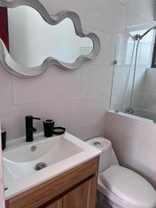 a bathroom with a sink and a toilet and a mirror at Casa Maly, valle de apalta, Santa Cruz in Santa Cruz +11 photos