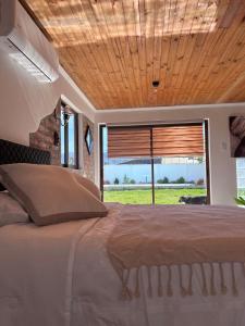 a bedroom with a large bed with a large window at Casa Maly, valle de apalta, Santa Cruz in Santa Cruz