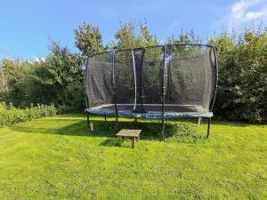 a trampoline with a net on the grass at Luxury Lakeside Retreat - By Traum Ferienwohnungen in Ansager +58 photos