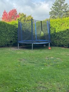 Κήπος έξω από το Apartment 20qm Prisdorf