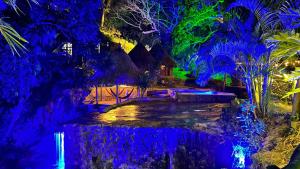 a garden at night with blue and green lights at TAWACA Junior in Santa Marta +12 photos