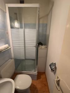 a bathroom with a shower and a toilet and a sink at 2 Bett Apartment im beliebten östlichen Ringgebiet in Braunschweig +3 photos