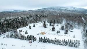 an aerial view of a snow covered mountain with trees at Chalet Beausite in Saint-Philémon