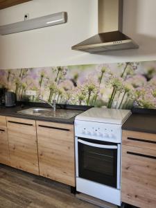 Kuchyň nebo kuchyňský kout v ubytování Ferienhaus Meisennest Bischof 97633 Sulzfeld-Leinach