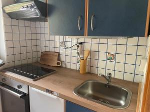 NeubäuにあるFerienhaus am Neubäuer Seeのシンクとカウンタートップのあるキッチン