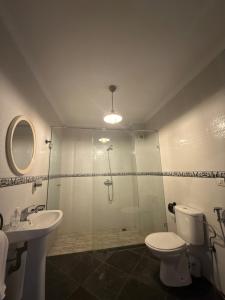 a bathroom with a shower and a toilet and a sink at Dar Mogador in Essaouira