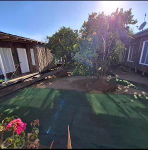 Casa Árbol lodge في بابودو: منزل مع ساحة مع حديقة خضراء