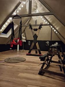 a gym in an attic with a ladder and swings at L' Antre de L' Ange in Trédarzec