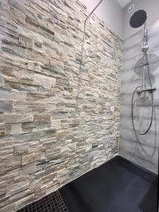 a bathroom with a stone wall and a shower at T2 moderne avec jardin à 15 min de Lyon in Oullins