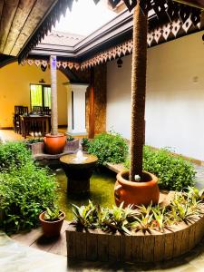 Zahrada ubytování Sea Turtles Boutique Bungalow