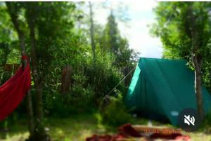 a green tent in a field with trees at Refugio Holístico Flora Boreal in El Bolsón