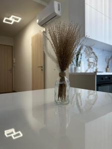 Kuchyň nebo kuchyňský kout v ubytování Apartman Nitra