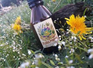 Zahrada ubytování Refugio Holístico Flora Boreal