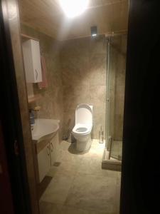 a bathroom with a toilet and a glass shower at Rostomaant Marani Family Winery Guest House, Telavi in Tʼelavi