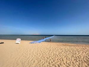 Φυσικό τοπίο κοντά σε αυτό το διαμέρισμα