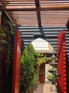 Κήπος έξω από το La PuertaMora +9 φωτογραφίες