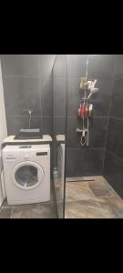 a small bathroom with a washing machine in it at Nina apartman in Komárno