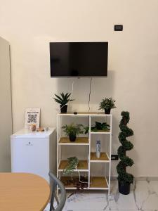 Μια τηλεόραση ή/και κέντρο ψυχαγωγίας στο Bello Room - A pochi passi dal Centro Storico +18 φωτογραφίες