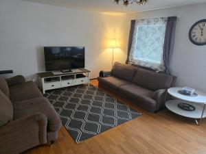 Una sala de estar con un sofá y un televisor de pantalla plana. en Aslan Home, en Gotemburgo