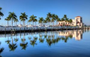 a view of a marina with palm trees in the water at 2BR Bungalow Near AMI! King, W/D, Long-Stay Deals in Bradenton
