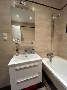 a bathroom with a sink and a tub and a mirror at Garden Spot and Parking in Krakow +10 photos
