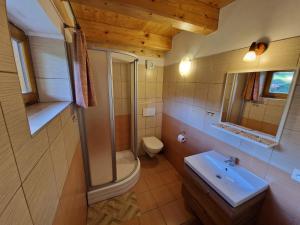 Koupelna v ubytování Chalupa pod strání - Olešnice v Orlických horách + 54 fotografií