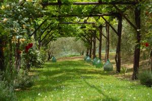 A garden outside Agriturismo Casale Dei Frontini