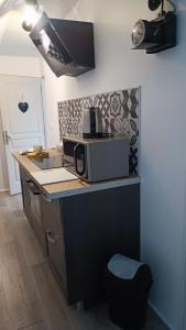 a kitchen with a sink and a microwave on a counter at Les tournesols in Woincourt